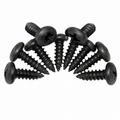 Screw Set Door Main Weatherstrip-10 Pieces-68-82
