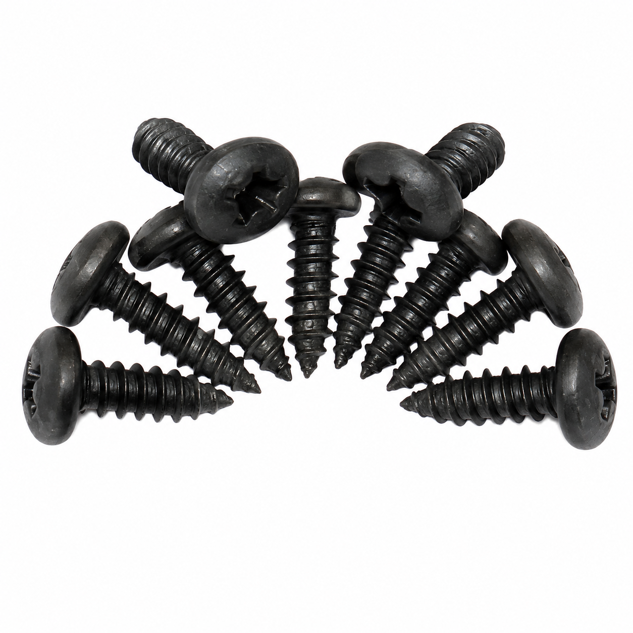 Screw Set Door Main Weatherstrip-10 Pieces-68-82