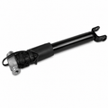 Shock Ac Delco Rear 14-18