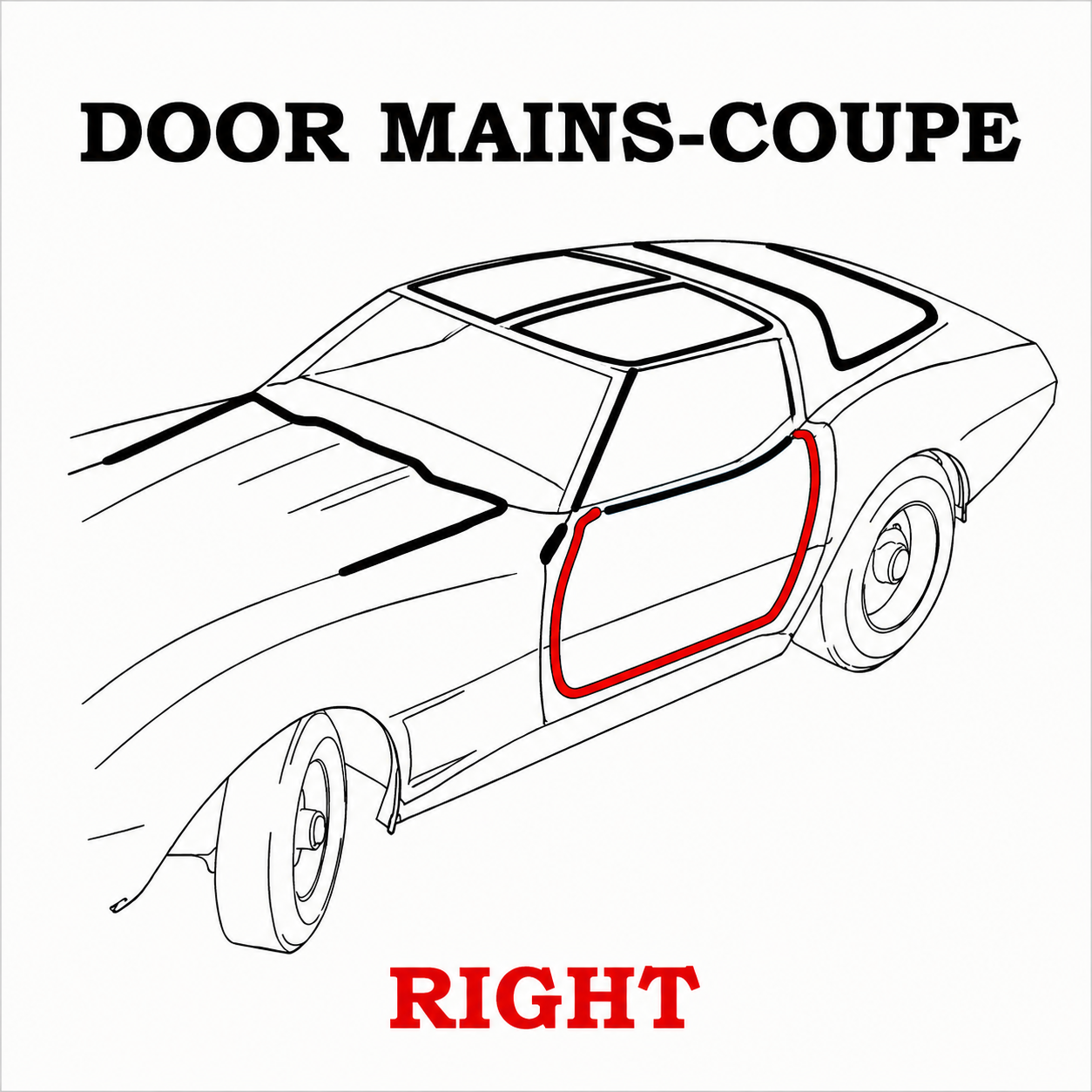 Weatherstrip Door Main Coupe Usa Right-78-82