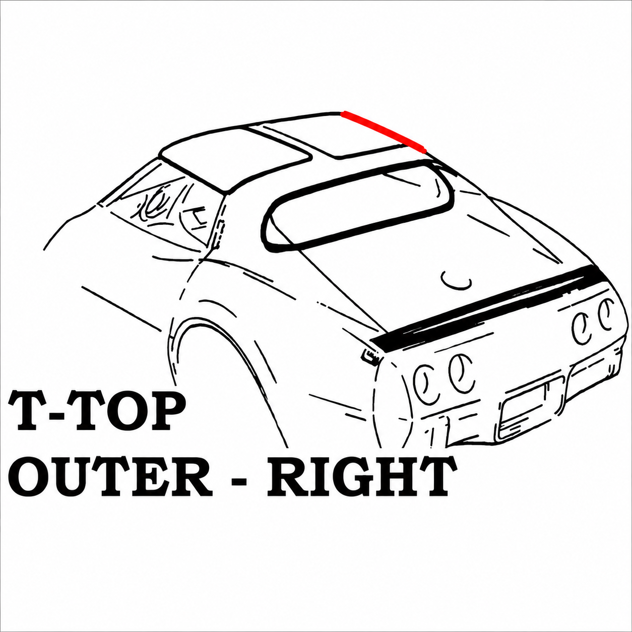 Weatherstrip T Top Outer Usa Right-68-69