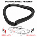WEATHERSTRIP-DOOR MAIN-USA-LEFT-56-58