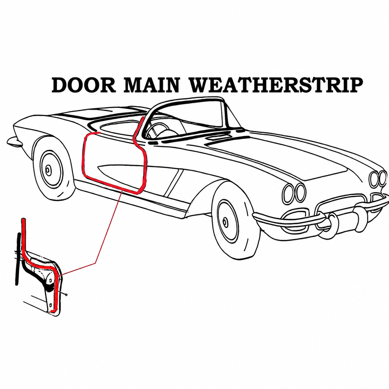 Weatherstrip-Door Main-USA-Right 56-58