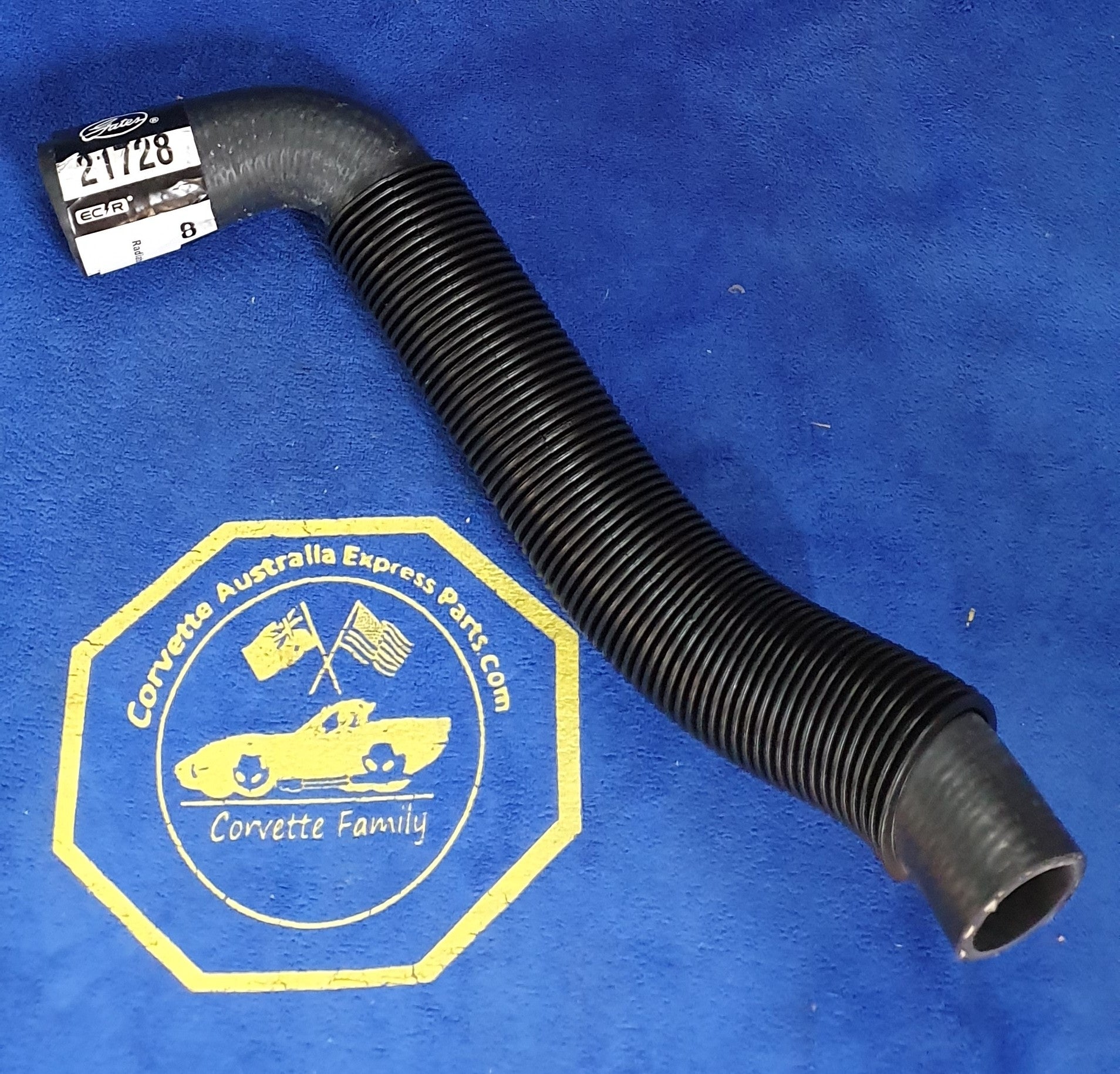 Hose Radiator Lower Molded-84-88