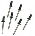 Rivet Side Door Glass Weatherstrip Mount Rear-6 Pieces-78-82