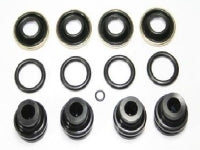 Piston Set Rear Caliper O Ring Design-65-82 Repair Kit
