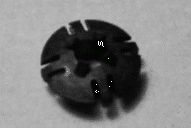 Cap Side Window Bushing Each-68-82