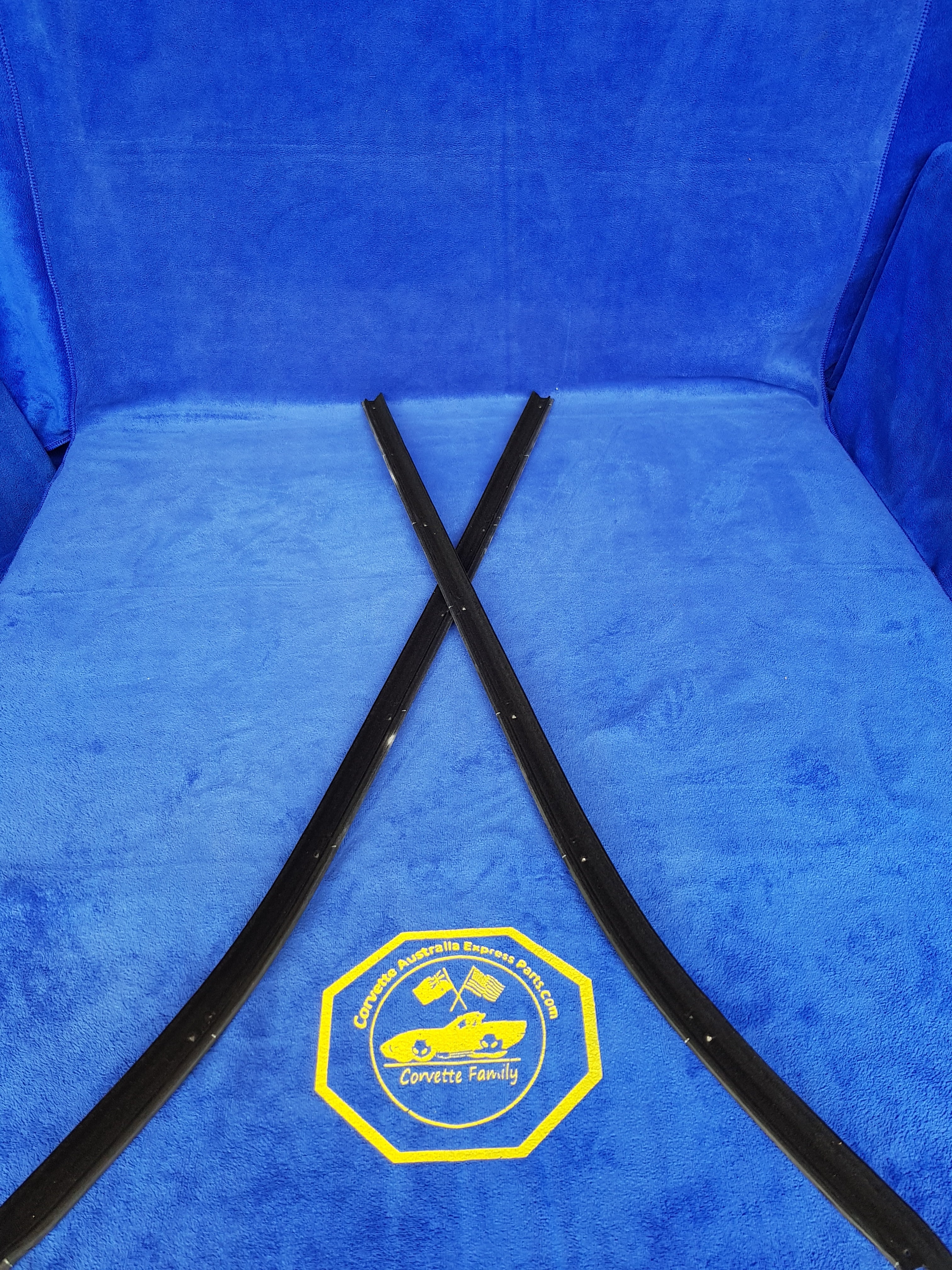 Seals Outer Door Panel Coupe Exact Usa Pair-69-82