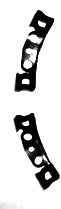Clip Coupe Windshield Corner Molding Pair-64-67
