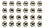 Nut Set Acorn Side Seat Hinge-24 Pieces-78 Pace Car-79-82